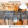 American Lighting LED Downlight 2 Inch Round 5CCT Selectable White