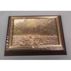 Unbranded/Generic 6 x 8 cherry finish plaque holds 4 x 6 photo gold self adhesive frame hanging