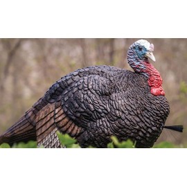 Primos Hunting Lil Gobstopper Hen and Jake Combo Decoy Light-Weight, Collapsible Hunting Decoy 69075