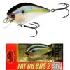 LUCKY CRAFT Crankbait Fat CB BDS2 (186 Ghost Thread Fin
