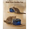 Cat Water Fountain for Cats Indoor: 80oz/2.4L Cat Fountains for