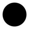 ZESABGE 30 cm Acrylic Plate Black Acrylic Discs Round Plastic