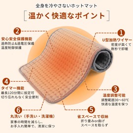 DEWEL Hot Mat, Electric Carpet, 10-Level Temperature Control, 11.8 x 23.6 inches (30 x 60 cm), Timer Function, Hot Carpet, Mini, Fast Heating, Washable, Overheating Protection, Abdomen, Neck, Back