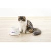 Richell Spill Resistant Cat Dish with Stem, White, Small