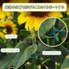 40 Pieces Plant Clip Plant Clips for Vine Stem Stem
