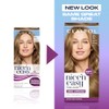 Clairol Nice'n Easy Tone+Gloss Semi Permanent Hair Dye - 811/73