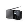SHARP DR-P520(GY) Portable Digital Radio (DAB/DAB+/FM with RDS, USB, Bluetooth