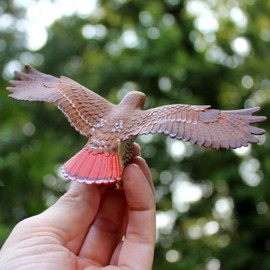 Safari Ltd. Red-Tailed Hawk Figurine - Detailed 5.75" Plastic Model Figure with Wingspan - Fun Educational Play Toy for Boys, Girls & Kids Ages 3+