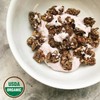Lark Ellen Farm Cacao Cherry Grain-Free Granola Clusters, Organic Vegan
