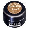 PRE GEL Color EX Smoky Camel R877 0.1 oz (3