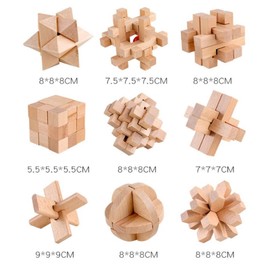FantasyDay 9pcs Wooden Brain Teaser Puzzles, Interlocking Games for IQ Test, Intellectual 3D Assembling Educational Toy Set for Teens and Adults (9 Puzzle Set#A01)