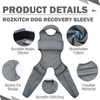 ROZKITCH Dog Surgery Recovery Sleeve Rear Right Left Leg, Pet