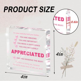 MUZRUYOU Inspirational Gifts Ideas for Women, Motivational Acrylic Keepsake Home Office Desk Decor, Appreciation for Coworkers, Thank You Gifts for Women and Men Administrative Professionals