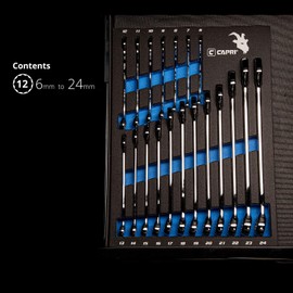 Capri Tools Combination Wrench Set with The Mechanic's Tray, Metric 6 to 24 mm, 19-Piece (CP11390MT)