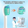 6 Pack Topkitfice Replacement Flossing Toothbrush Heads with Covers Compatible