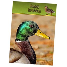 Duck Birthday Card