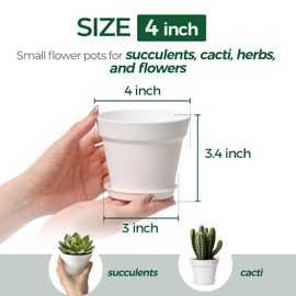 T4U 4 Inch Plant Pots 8-Pack, Small Flower Pots with Drainage Hole and Saucer, Decorative Nursery Pot Bulk for African Violet, Snake Plant, Succulent, Herb and Plants Indoor (8 Pcs 4" Pots, White)