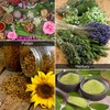 VIVOSUN Heavy Duty 2-in-1 Trimming Tray for Herbals Collecting, Dry