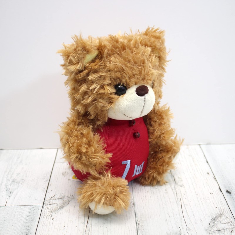 Take Off Plush BEAR'S365 July Brown