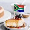 100 Pcs South Africa Flag South African Toothpick Flags Cocktail