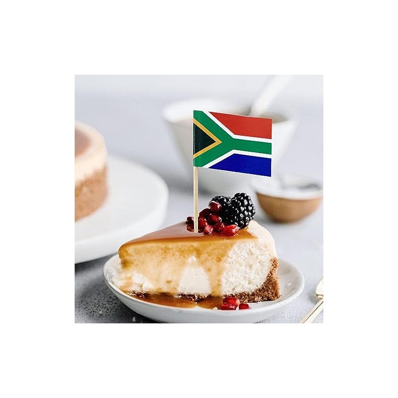 100 Pcs South Africa Flag South African Toothpick Flags Cocktail
