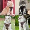 TYXHXTF Cat Harness with Lead, Escape Proof Set, Cats Automatic