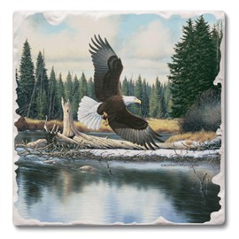 Absorbent Stone Tumbled Tile Coasters, Eagle Spirit, Set of 4