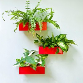 LaLaGreen Wall Planter (3 Pack, 12 Inch) Large Wall Mount Planters for Succulents Red, Wall Hanging Rectangle Metal Flower Pot Long Window Boxes Festive Season Christmas Thanksgiving Decoration Indoor