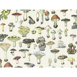 Decorative Vintage Mushroom Pattern Tissue Paper, Botanical Print, 20x30 Inch Sheets, 12 Count