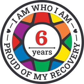 Recovery Pride Medallion in Years 1-50 Recovery AA Chip Sober Medallion (Year 6)