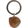 WILDLIFEGARDEN Hazelnut Keyring, hazelnut