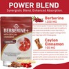 AuranC-H Berberine HCL Supplement Berberine 1200mg Serving HCL - Plus