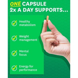 Zenwise Health Green Tea Extract with EGCG & 120 Count (Pack of 1)