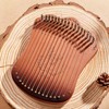 17 String Lyre Harp Portable Solid Beech Wood Harp String
