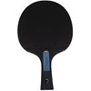 Butterfly Dimitrij Ovtcharov Sapphire Table Tennis Bat, Eva Technology, ITTF