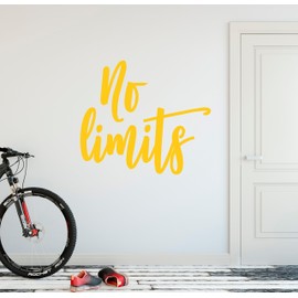 24"x20" No Limits Workout Success Goal Positive Thinking Challenge Extreme Sports Fitness Wall Decal Sticker Art Mural Home Decor