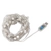 LED Globe String Light USB Powered Remote Control 16 Color