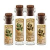 MyTinyWorld Dolls House Apothecary Horehound Herb Short Sepia Label And