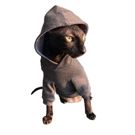 Sphynx Cat Dark grey Hoodie Home sweet home KotomodaCatWear Cat Clothes For Naked and HairlessCats (XL)