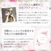MULCOL Herbarium Handmade Kit, Flower Material, Set, Free Research, Free