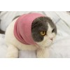 DDFS Ear Wrap Cat (6 Pack), Dedication Cat Ear Cover