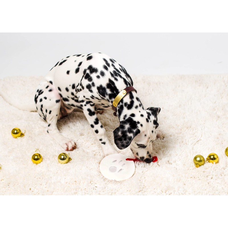 Pearhead Clay Pawprint Christmas Ornament, Pet Owner Holiday Gift, Dog
