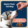 Blue Buffalo Bits Salmon Training Treats, 4 oz