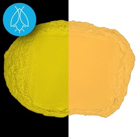Glow in The Dark Pigment Powder - Neutral and Fluorescent Color for Art Painting, Fine Art, Nail Art Paint, and DIY Crafts - Long Lasting, 10+ Color Options - Fluorescent Orange - (12 Grams)