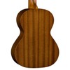 Luna Lizard Mahogany Tenor Ukulele Package