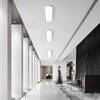 Ganeed 27.6 Inch LED Ceiling Light,Full Spectrum Linear Ceiling Lamps,6500K