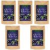 Supplement Garden Blueberry Anthocyanin Nutrient 360 tablets, high content from Northern Europe, 5 packs, 60 tablets / 서플리먼트 가든 블루베리 안토시아닌 영양제 360정 북유럽산 고함량, 5개, 60정