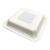 Contenedor Biodegradable 9 X 9 .de Caña 200 Pzs Especial.