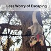 3 Pack Sugar Glider Harness and Leash Set Small Animal
