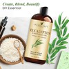 Handcraft Blends Eucalyptus Essential Oil - Huge 16 Fl Oz